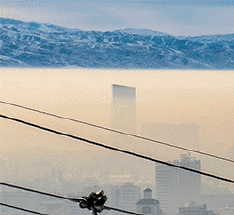 Фотографии со стены